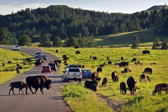 South Dakota